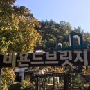 비욘드브릿지 이미지