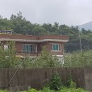 청솔민박펜션 이미지