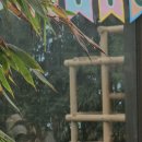 애니멀 패밀리 | 에버랜드 바오패밀리 생일주간 후기｜러바오 애니멀톡부터 루이후이 여름촌캉스까지