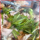 능이버섯백숙 이미지