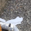 카페오수 이미지