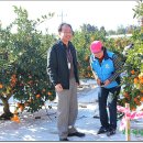 문정순농장 이미지