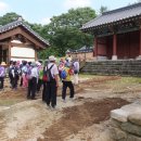 충주박물관 이미지