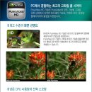 에버탑