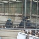 김기수농장 이미지