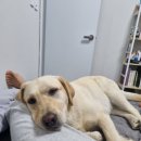 교방동116 | 취미 부자의 주간 일기(24.05.20~26)