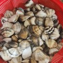 뚝딱이네 STAY 이미지