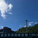 채남칼국수앞 이미지