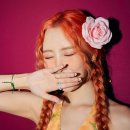 미야컴퍼니 이미지