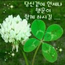 청학로학교길 이미지