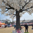 2023 논산딸기축제 5살 아이와 다녀온 후기 (feat.승철이네 칼국수)