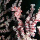 프렌즈동물병원 이미지