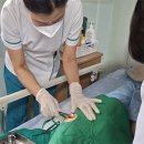 에스웰요양병원 메디칼타임즈