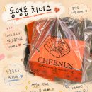 치너스(CHEENUS) | 동명동 치너스 치즈케이크 후기 🍰 오리지널이 제일 맛있었던 4종 솔직 리뷰