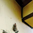 보금신토불이 이미지