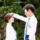 닥터스
