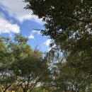 섬타르 서울숲 이미지