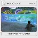 태화강맛집 | 울산 태화강생태관 놀이터 후기부터 근처 맛집 까지