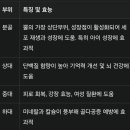 강남정인한약국 이미지