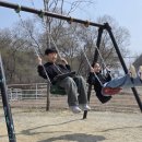 퍼스트태권도&점핑클럽 | 🍓🐑 딸기농장 &amp; 양떼목장 체험 다녀왔어요 💚[수원 매교동 태권도 매교동 줄넘기 ➡️ 퍼스트태권도&amp;점핑클럽]