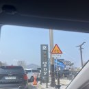 2025 경주 대릉원돌담길 벚꽃축제 다녀온 후기 | 먹거리 푸드트럭, 즐길거리 플리마켓 소개