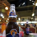 Kota Kinabalu Healing Tour(2017.1.10) -전일자유-LAGOON PARK(라쿤팍) 맹글로브,탄중아루선셋 이미지