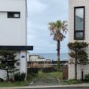 그여름애월바다 이미지