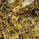 굴마을 낙지촌 이미지