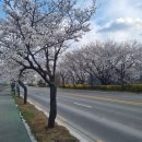 구미보명품화장실 이미지