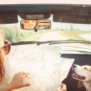 로얄 도그앤캣 메디컬센터 이미지