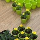 신자병설유치원 이미지