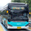 대동백화점(토월성원아파트방면) 이미지