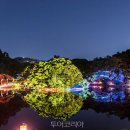 미래로투어주 이미지