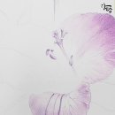 보테니컬아트(색연필그림) | [보태니컬아트] 색연필꽃그림으로 보는 후리지아 작품완성과정