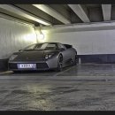 개소리펫샵 이미지