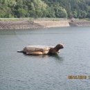 입구기타 이미지