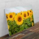 옹기종기 이미지