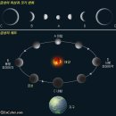 금성장식 - 춘천시 우석로101번길 31 | 금성장식