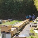 내검농장 이미지