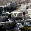 성 금 사