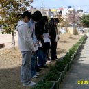 괘법초등학교 이미지