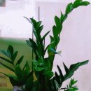 상남동288 이미지