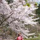 정실농장 이미지