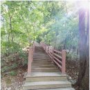 남정면사무소 | 내연산(경북수목원~매봉~향로봉~삼지봉~은폭입구 삼거리~연산폭포~내연사~버스주차장 17.5k) 24.6.6...