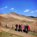 화왕산성 진달래 억새밭 사계가 공존하는 경남 창녕군 화왕산 (무료주차장 이용) ㅡ경기광주산유랑토요산악회(4/8일) 이미지