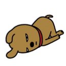 큰손묵집 이미지