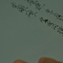 sunshine o 이미지