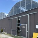 딸기마을 | 남양주딸기농장: 아기랑 다녀온 별마을딸기농장 리얼후기