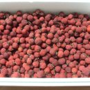 월영동255 이미지