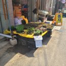 서울종묘사 이미지